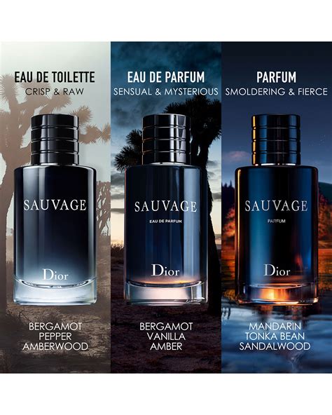 best dior sauvage|best version of dior sauvage.